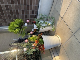 12月のお花