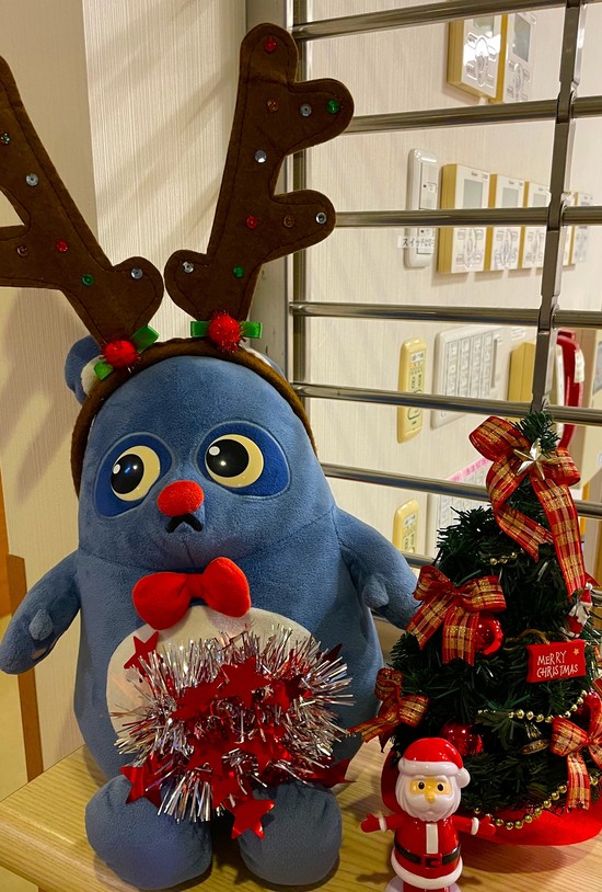 クリスマスツリー完成？？