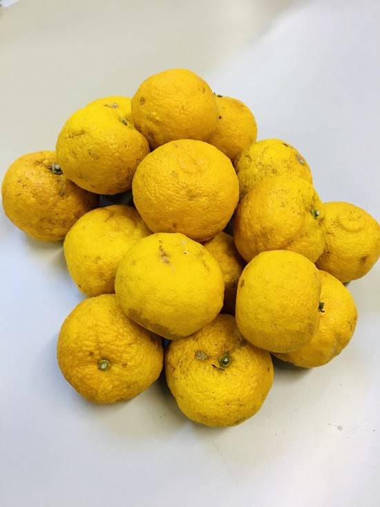 ～ゆず湯～　１２月２０日～２５日