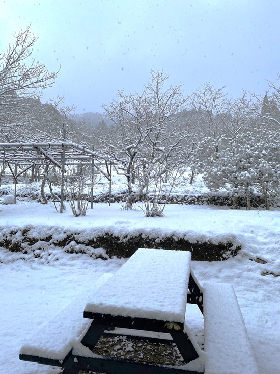 【アルファリビング広島段原】雪が降りました