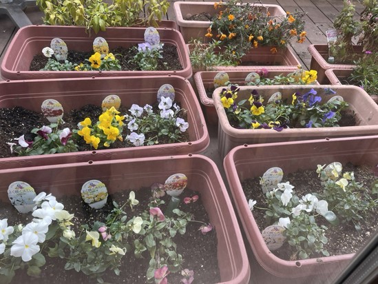 【アルファリビング広島段原】段原ガーデン　2026冬