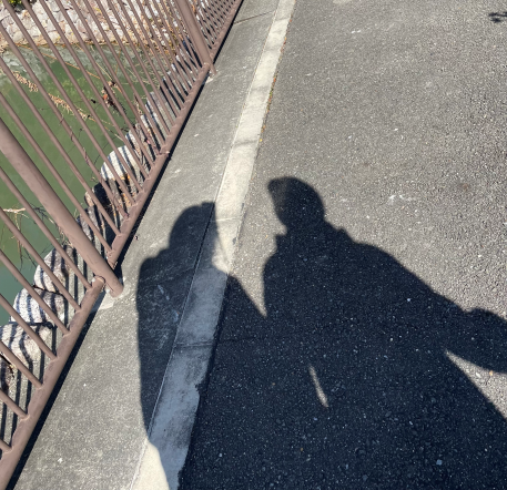 天気のいい日にお散歩しました！！