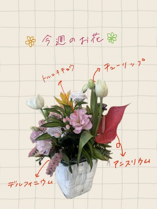 今週のお花❀