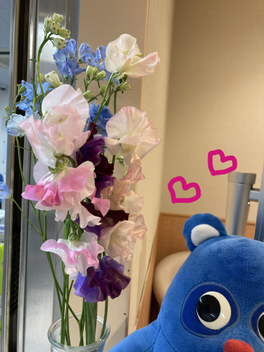 素敵なお花を頂きました✿