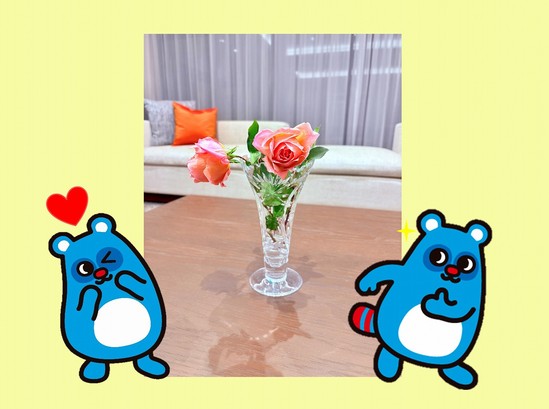 バラの花をいただきました