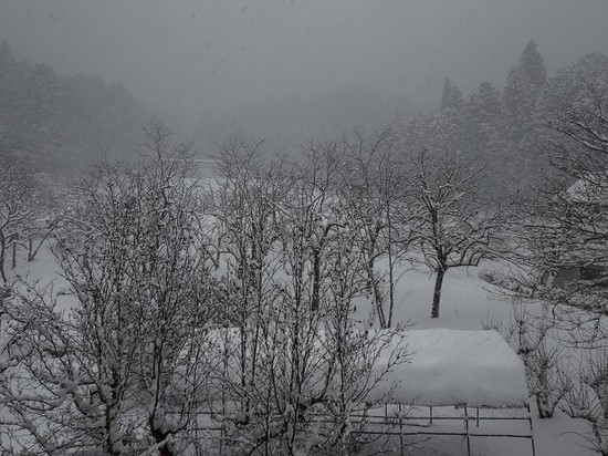 【アルファリビング広島段原】雪が降りました❄️