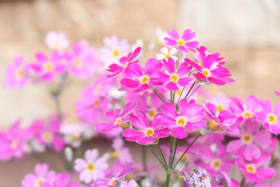 ～今日から３月～