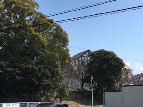 春の日差しを浴びて、職員とお買いもの