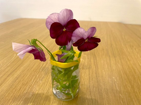 【アルファリビング広島段原】花言葉