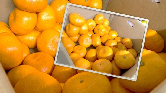 豊島よりおいしいみかんをありがとうございました！！