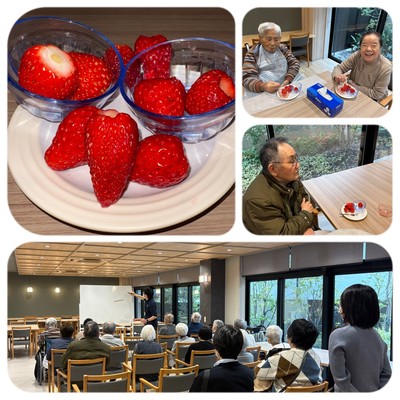 春の味覚♪いちごの食べ比べ会