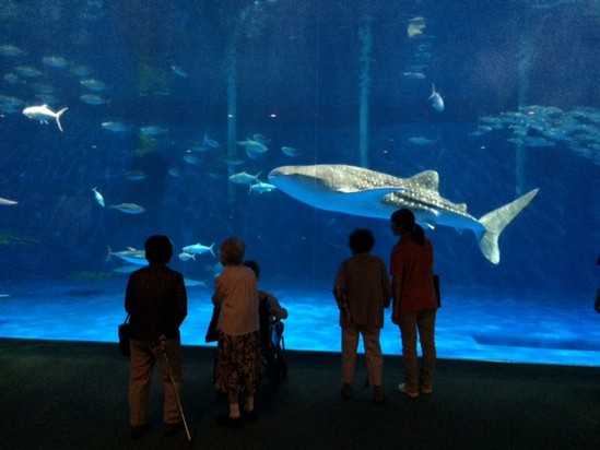 デイサービス水族館外出