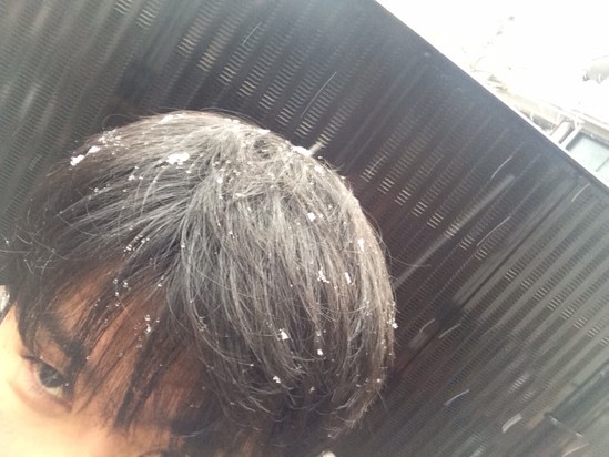 今日は大雪・・・