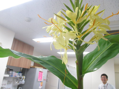 ジンジャミン♪