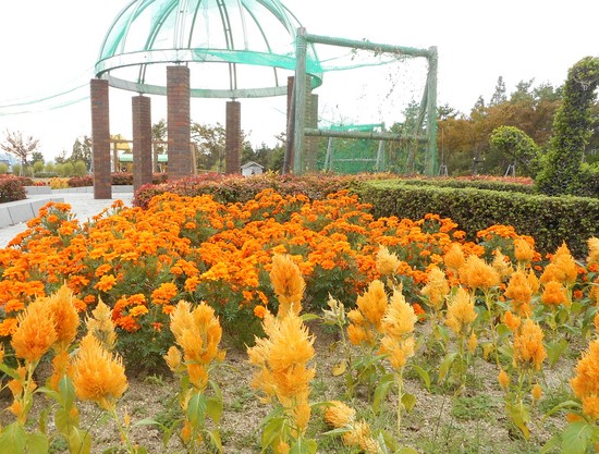 お出かけイベント！！