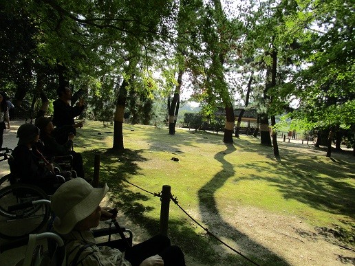 後楽園の散策　（その２）