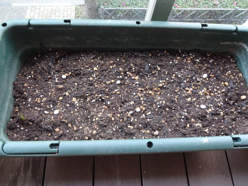 ガーデニング*冬*