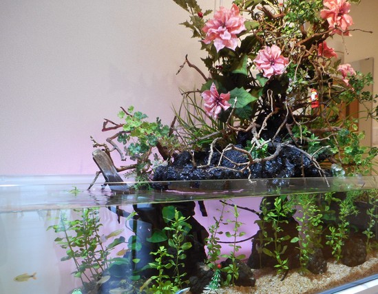 新しい仲間が加わりました！