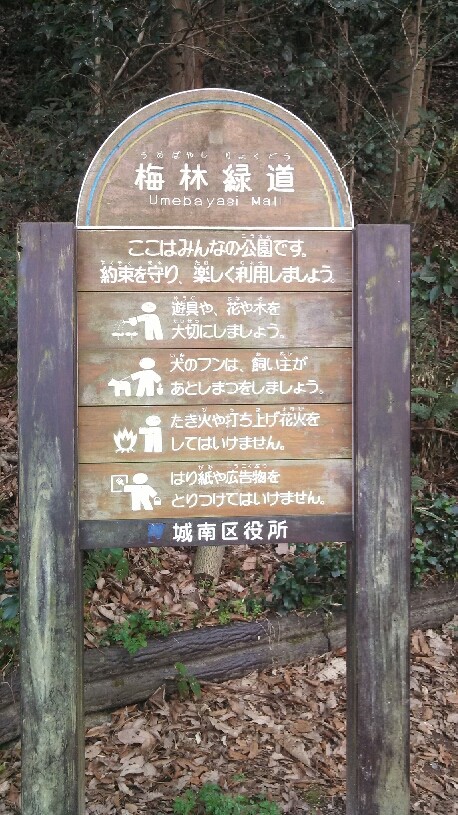 城南区のイイところ