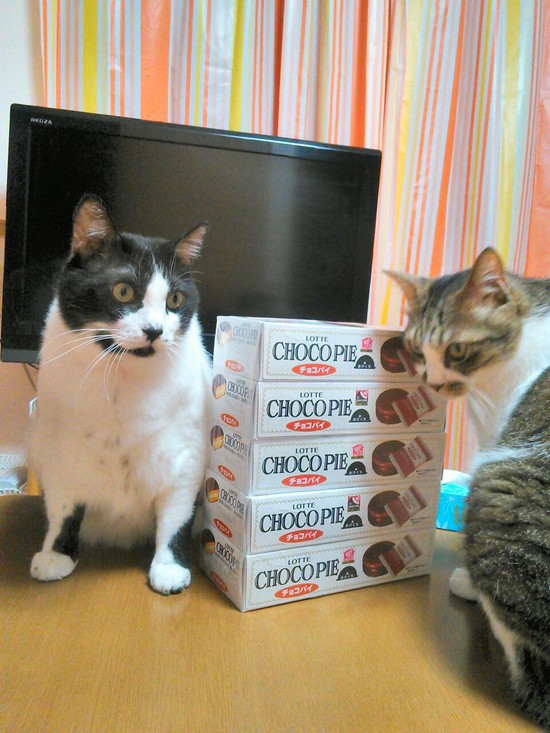 欠かせないもの