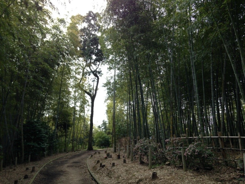 何かいる・・・