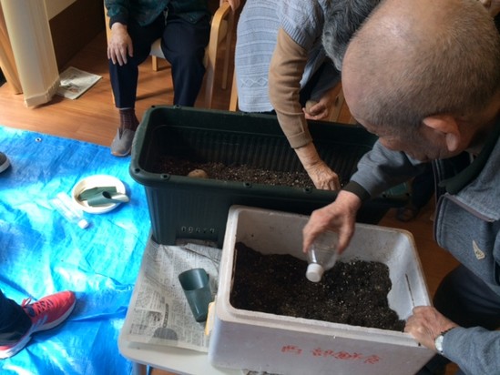 ジャガイモ植えしましたぁ♪