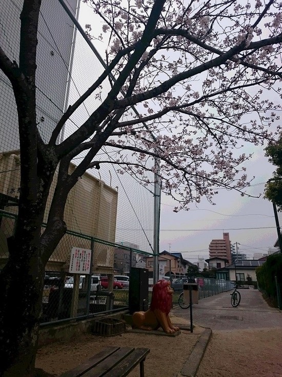 いよいよ・・・