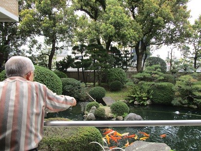 コイ再び　～その２～