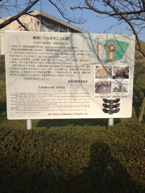 いいものみつけた