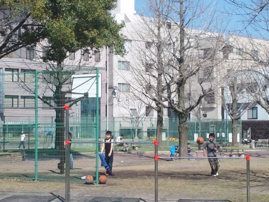 共研公園再登場！