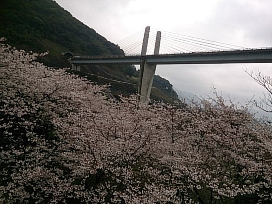 長崎の車窓から