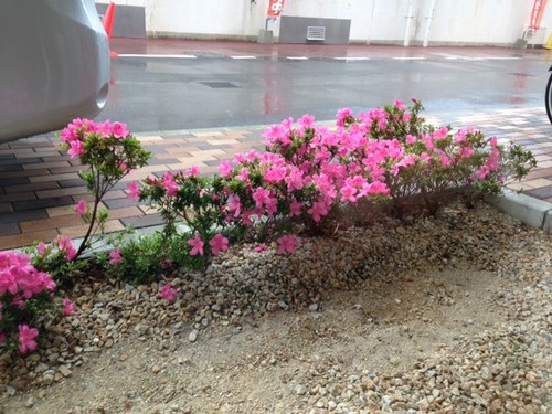 雨の日でも・・・