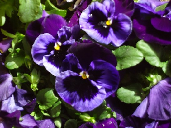 ある入居者さまの事。