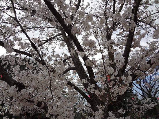 ある入居者さまの事　２