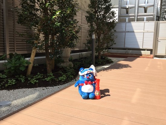 あーなちゃん到着！