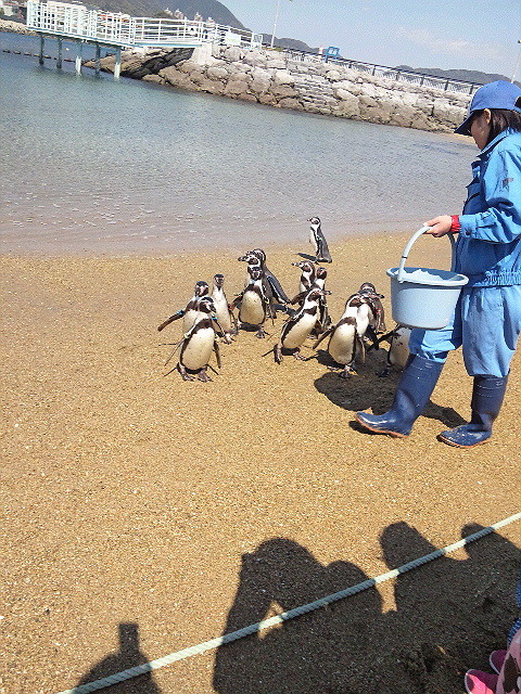 ホ～ホケキョ　♪