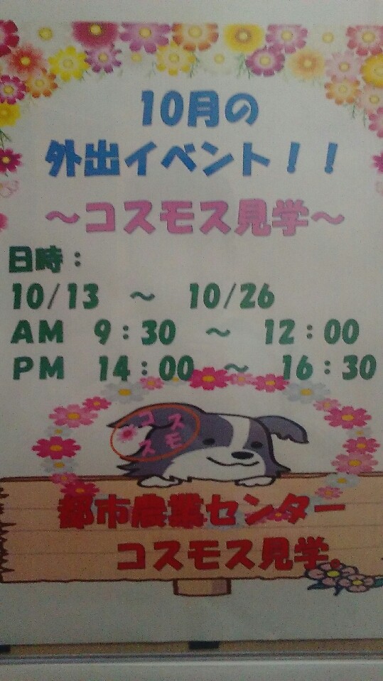 Let's　豪（ゴー）　コスモス見学　in　都市農業センター