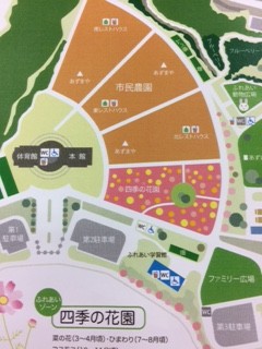 Let's　ゴー　コスモス見学　ＰＡＲＴ　2