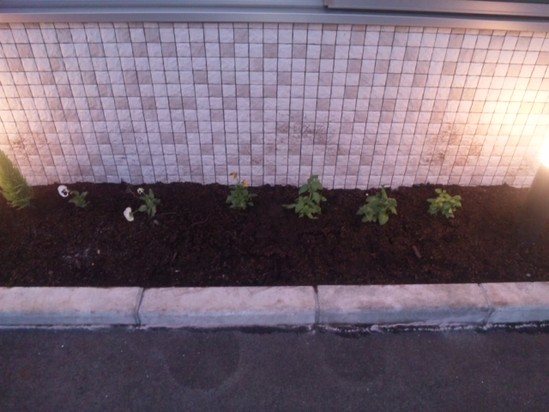 もう一つの花壇。