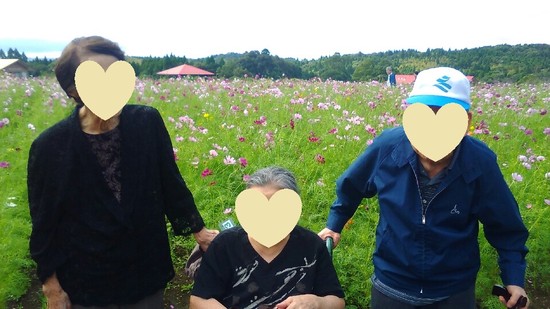 Let's　ゴー　コスモス見学　ＰＡＲＴ　3