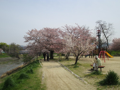 お花見レク。。。