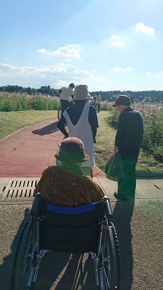 Let's　ゴー　コスモス見学　ＰＡＲＴ　5