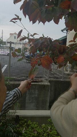 久万の台デイ便り