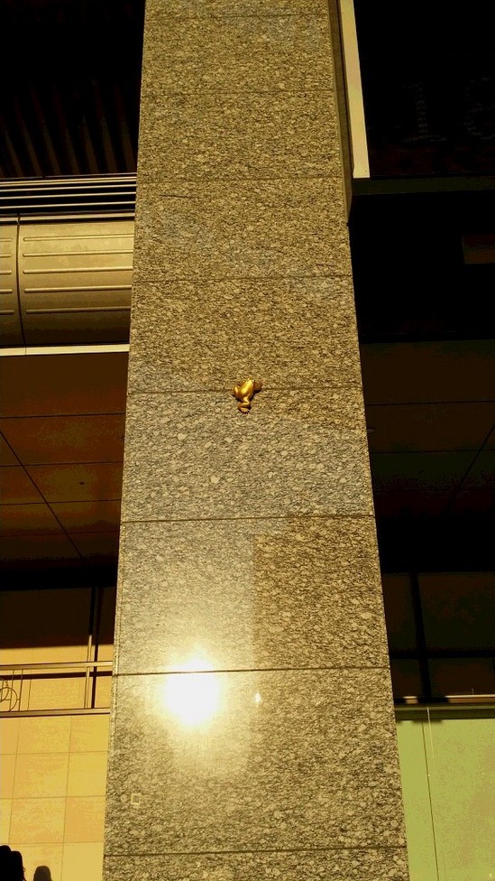 どこにいるかな？