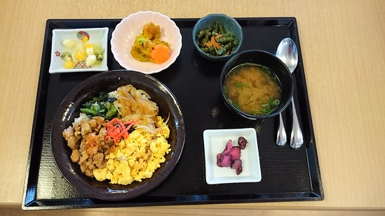 昼食【三色丼】