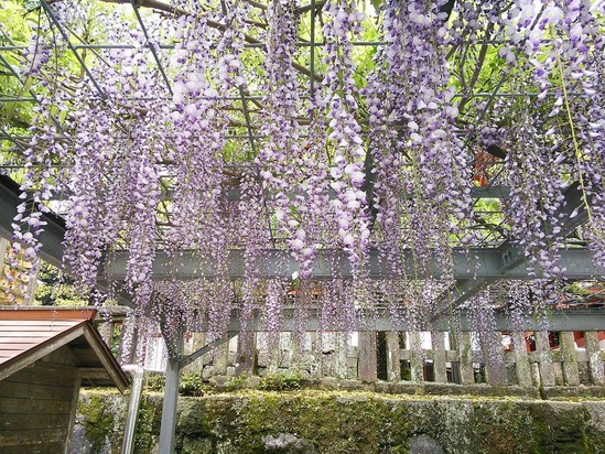 日帰り温泉旅行！その４