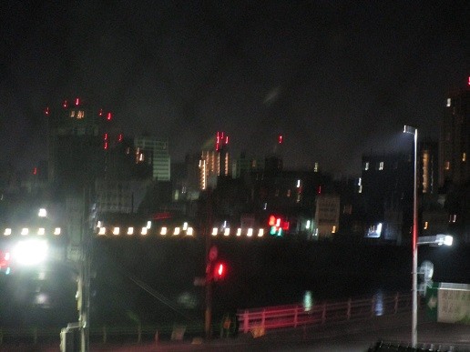 アルファリビング岡山後楽園の夜景