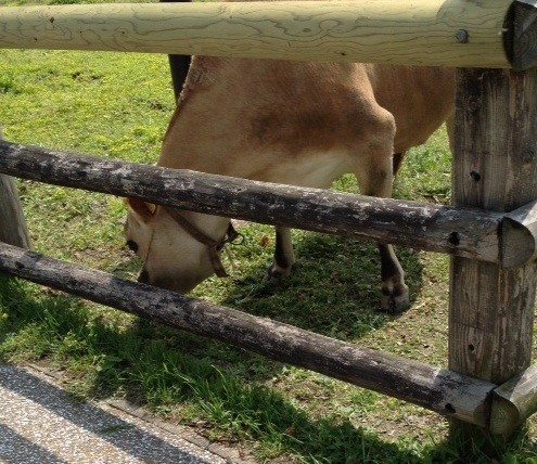 福岡名所クイズ④