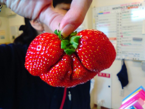 ✰明日は節分✰