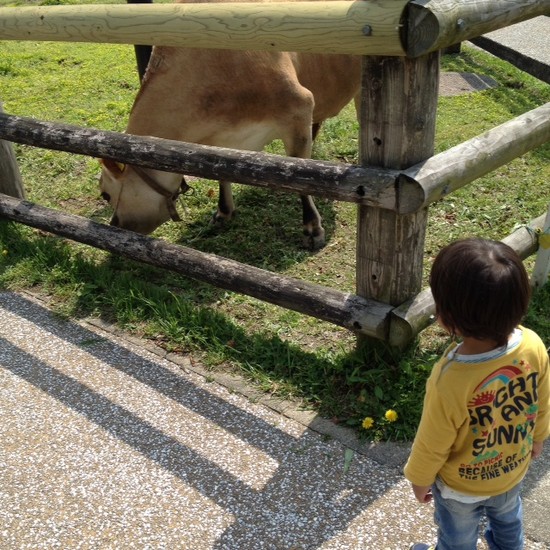 福岡名所クイズ④答えの発表